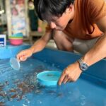 Nara: Discover Koriyamas Goldfish Charm - 2-Hour - Who Will Love This Tour?