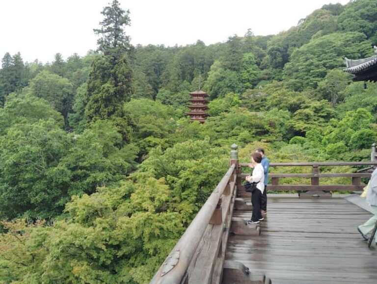 Nara: Explore Hasederas Giant Kannon and Cliffside Temple - What to Expect During the Tour