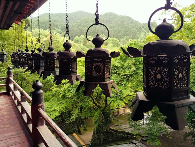 Nara: Explore Tanzan Shrines Pagoda and Sacred History - Who Will Love This Tour?
