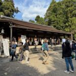 Nara Gardens and Temples Private Guided Tour with Transport - Why This Tour Offers Good Value