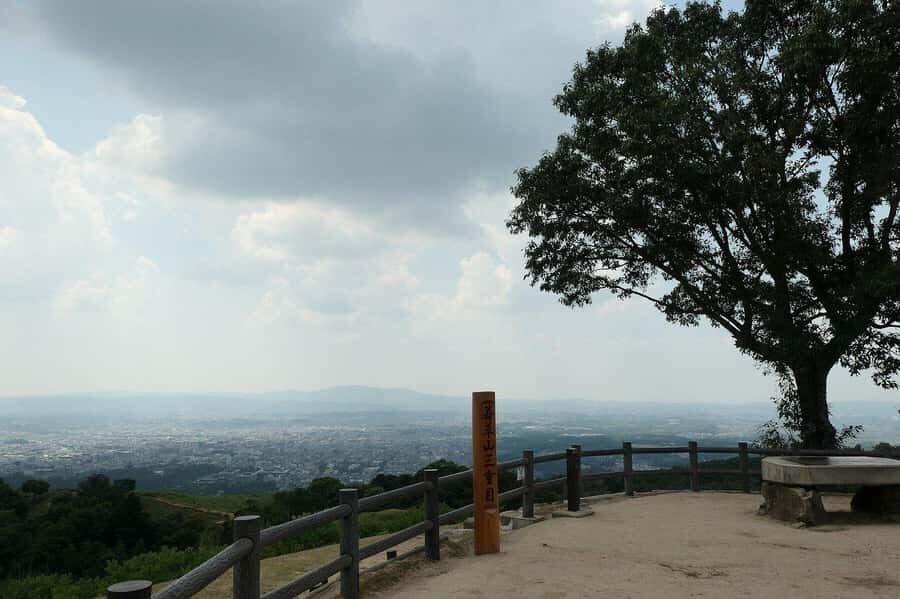 Nara: Mt. Wakakusa Family Picnic Trail with Guide - Practical Details and Value
