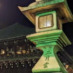 Nara: Night Walking Guided Tour - Beauty in a Peaceful Night - Practical Details and What You Can Expect