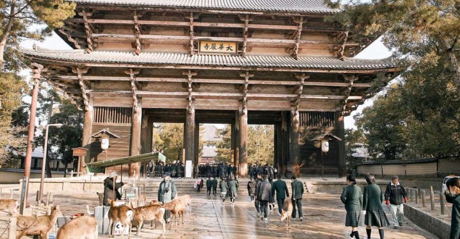 Nara: Private Walking Tour with a Local - What to Expect from the Tour