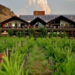 Nashik: Private Full-Day Wine Tour with Tastings From Mumbai - The Sum Up