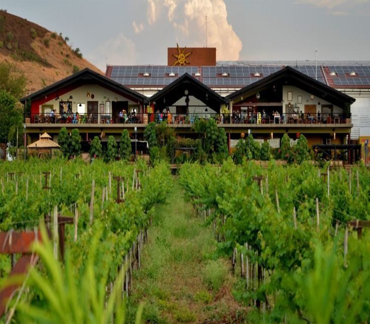 Nashik: Private Full-Day Wine Tour with Tastings From Mumbai - The Sum Up