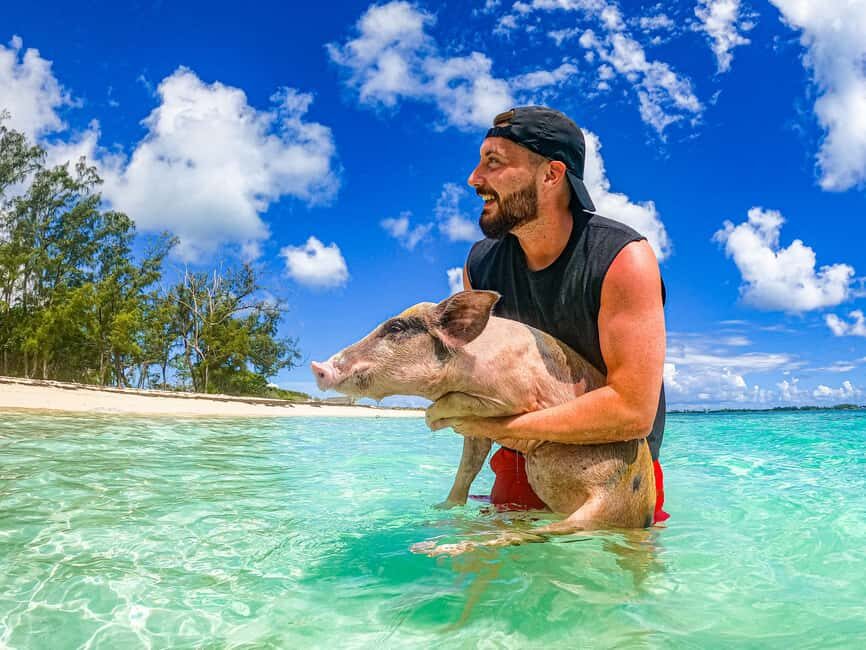 Nassau: Pigs Beach Trip by Boat with Swimming and Feeding - Practical Tips and Considerations