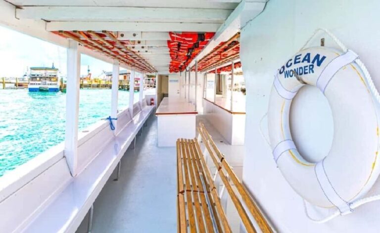 Nassau: Reef Glass Bottom & Snorkel Tour - The Realities: Pros and Cons