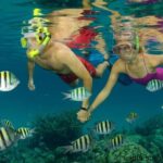 Nassau Shore Excursion: Bahamas Snorkel Adventure - The Value of the Bahamas Snorkel Adventure