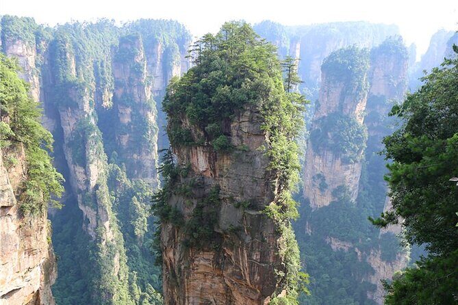 National Forest Park Avatar Mountain Day Tour - An In-Depth Look at the Tour Experience