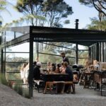 Native Forest Farm Experience Nourishing Nature in Auckland - A Deep Dive into the Experience