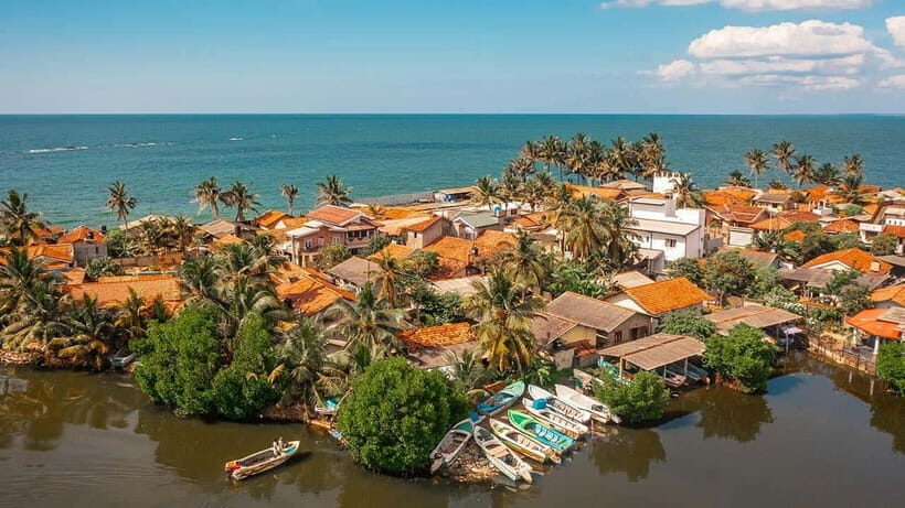 Negombo City : Explore the Fish Market & Dutch Canal by Boat - Who This Tour Is Best For