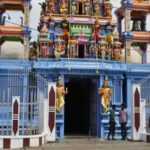 Negombo City Highlights with Traditional Trigger Point Massage - Who Should Consider This Tour?