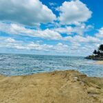 Negombo City Tour by Tuk Tuk with hotel pickup - The Sum Up