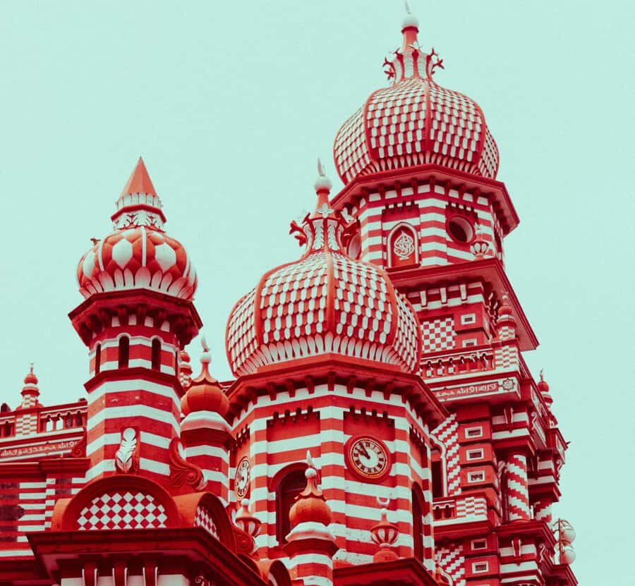 Negombo: Colombo City Tour & Hamilton Canal Boat Ride - Who Would Love This Tour?  