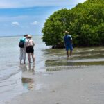 Negombo: Lagoon Boat Tour with hotel transfers & fruit snak - Practical Details & Value