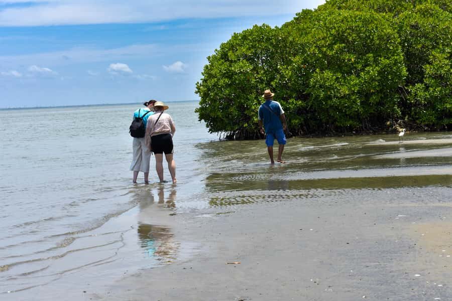 Negombo: Lagoon Boat Tour with hotel transfers & fruit snak - Practical Details & Value