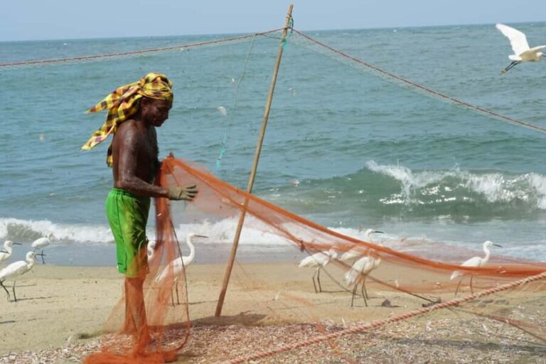 Negombo Private Tour: Market, Temples & Canal - Practical Tips and What to Expect