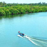 Negombo:Dutch Canal, Lagoon, Muthurajawela Private Boat Tour - Who Is This Tour Perfect For?
