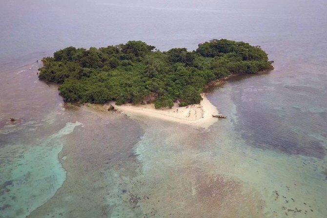 Negril Ricks cruise PLUS Booby Cay Lobster & Cave Snorkeling - Who Is This Tour Best For?