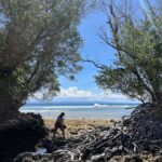 Neil Island: Shorewalk, Tidepooling & Marine Microscopy Tour - A Closer Look at the Neil Island Shorewalk Experience