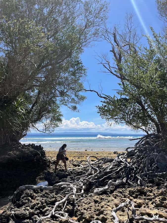 Neil Island: Shorewalk, Tidepooling & Marine Microscopy Tour - A Closer Look at the Neil Island Shorewalk Experience