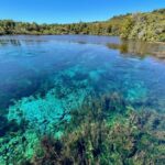 Nelson: Golden Bay in a Day Tour - Practical Details and What You Should Know