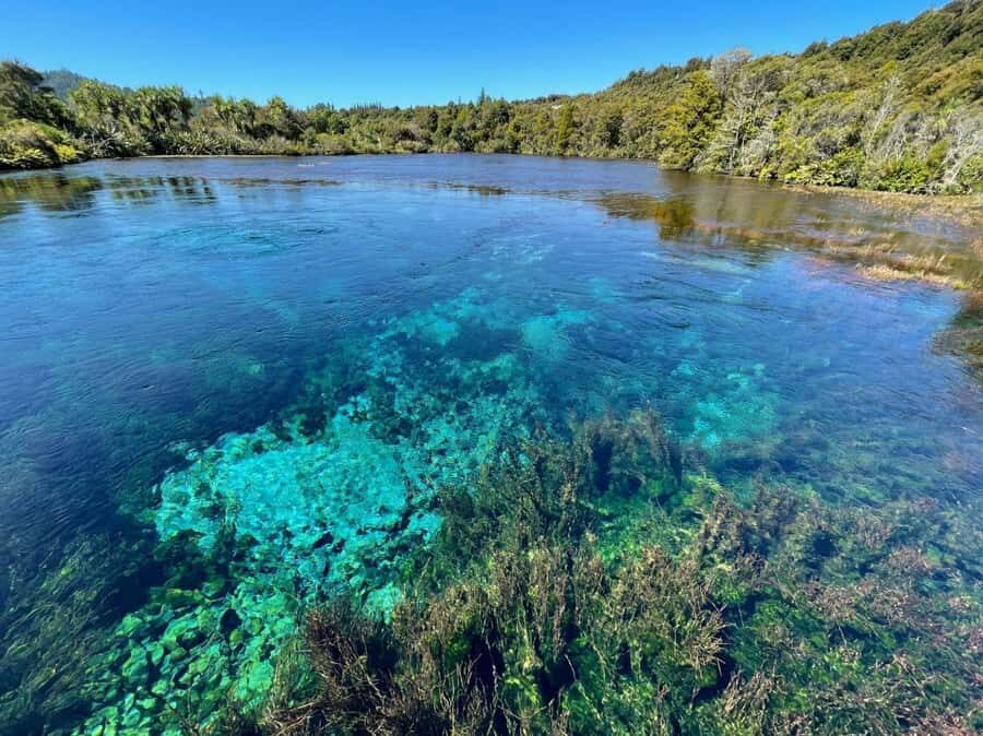 Nelson: Golden Bay in a Day Tour - Practical Details and What You Should Know