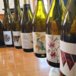 Nelson: Marlborough Wine Tour with Tastings and Lunch - The Experience in Detail
