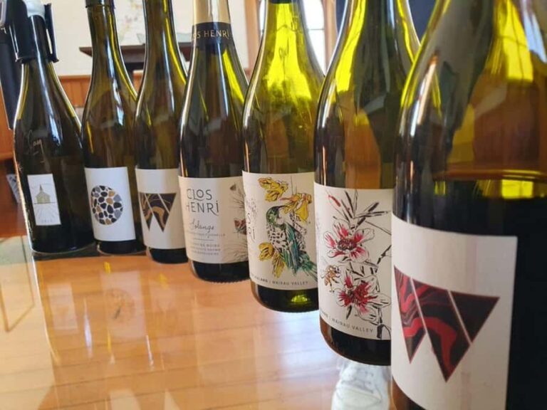 Nelson: Marlborough Wine Tour with Tastings and Lunch - The Experience in Detail