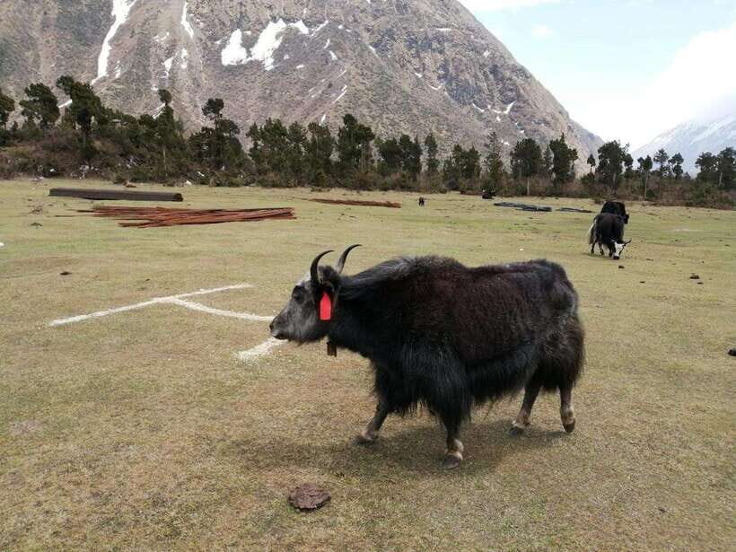 Nepal: Manaslu Circuit Trek with Larkya La Pass - A Detailed Look at the Trekking Experience