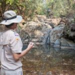 New Delhi: Jim Corbett National Park Safari (Tiger) Spotting - Why Choose a Jeep Safari in Corbett?