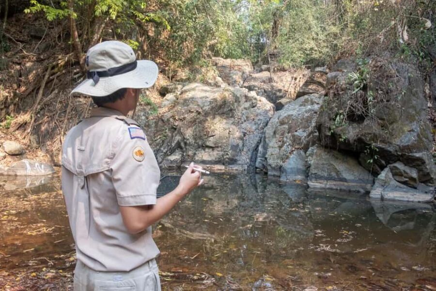 New Delhi: Jim Corbett National Park Safari (Tiger) Spotting - Why Choose a Jeep Safari in Corbett?