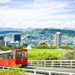 New Zealand Wellington Airport (WLG) to Wellington City Centre - Practical Tips Based on Reviews and Details