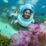 Nha Trang Bay Underwater Walk and Vietnamese Seafood Delight - The Experience of Underwater Walking