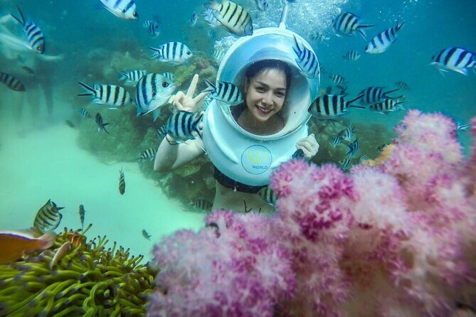 Nha Trang Bay Underwater Walk and Vietnamese Seafood Delight - The Experience of Underwater Walking