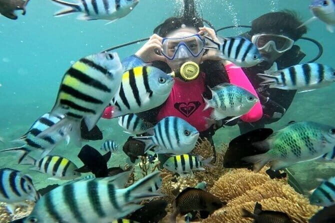 Nha Trang Coral Adventure Snorkeling and Floating Bar Experience - Authentic Experiences and Real Insights