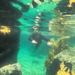 Nha Trang Half-Day Snorkeling Adventure at Marine Park with BBQ - Real Experiences and Guest Perspectives
