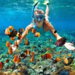 Nha Trang Mun Island Snorkeling Coral Reef Tour with BBQ Lunch - Detailed Breakdown of the Itinerary