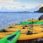 Night Kayaking Experience on Bioluminescent Lagoon in Fajardo - Authenticities from Reviewers