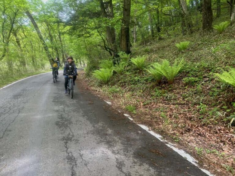 Nikko : Bike and Hike on Mt Hangetsu - Why This Tour Stands Out