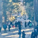 Nikko Heritage & Private Sightseeing Trip From Tokyo - Why This Tour Offers Great Value