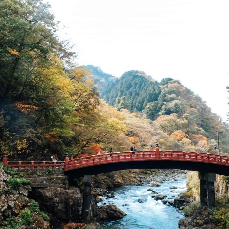 Nikko: Kegon Falls, Lake Chuzenji & Toshogu Temple - What to Expect in Terms of Logistics and Value