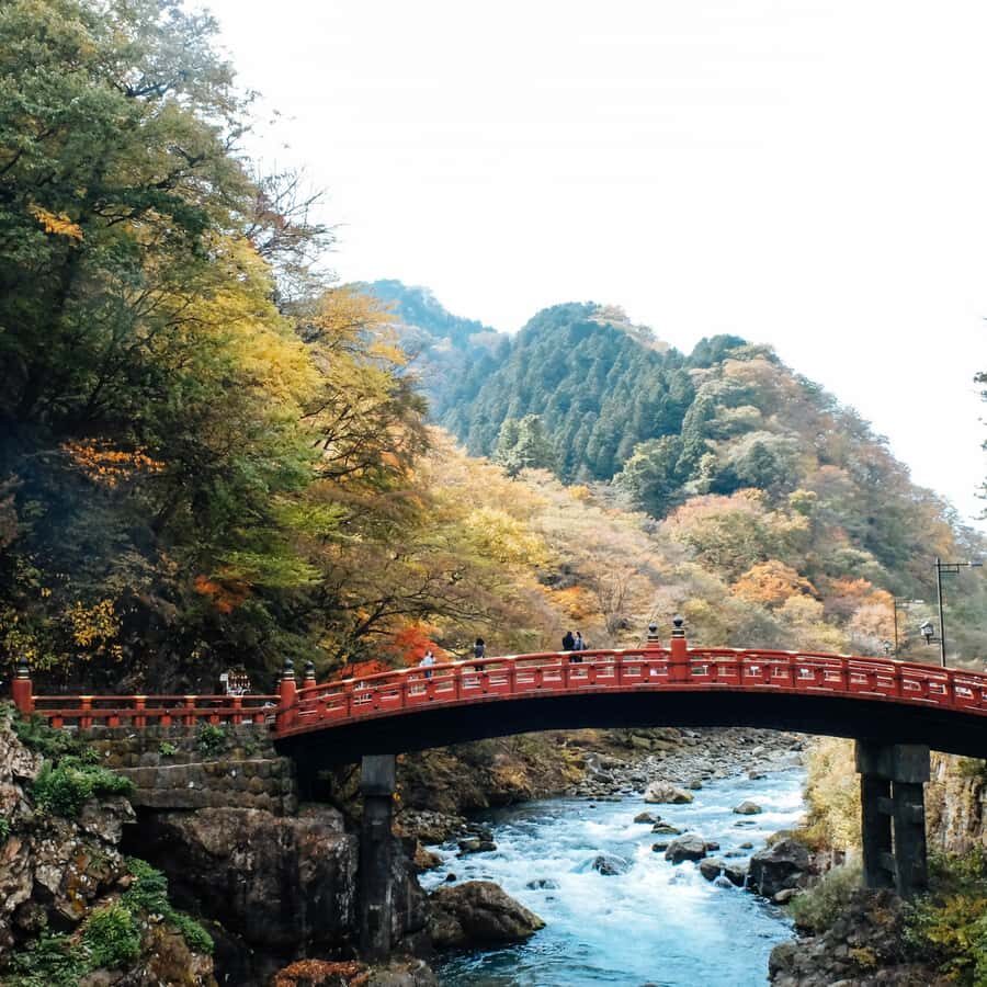 Nikko: Kegon Falls, Lake Chuzenji & Toshogu Temple - What to Expect in Terms of Logistics and Value