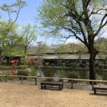 Nikko Private Tour With English Speaking Driver - A Deep Dive into the Itinerary