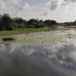 Nilaveli: Crocodile Lake with Lagoon Boat Safari - Who Will Love This Tour?