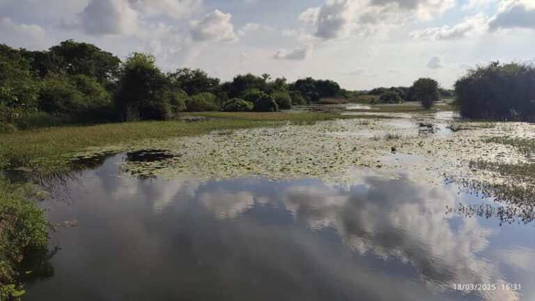 Nilaveli: Crocodile Lake with Lagoon Boat Safari - Who Will Love This Tour?