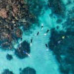 Ningaloo: Snorkelling & Coral Viewing Semi Submersible Tour - The Value of Expert Guidance and Family Focus