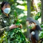 Ninh Binh: Cuc Phuong National Park, Jungle Hike & Wildlife - Who Will Love This Tour?