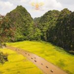 Ninh Binh Highlights Tour - Hoa Lu, Trang An And Mua Cave - What Makes This Tour Stand Out
