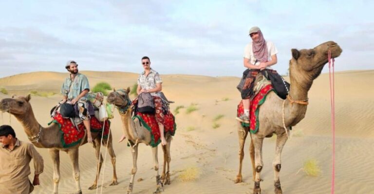 Nomadic 2 Nights 3 Days Non Touristic Camel & Desert Safari - The Sum Up